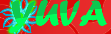 /home.html