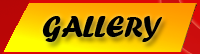 \gall.html
